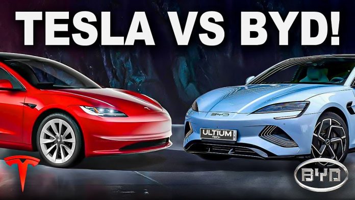 byd vs tesla