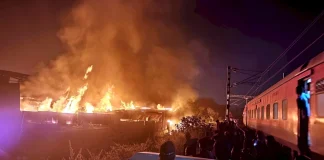 मध्य प्रदेश : भोपाल के टिंबर मार्केट में लगी भीषण आग, 30 फीट तक उठीं लपटें, करोड़ों का नुकसान